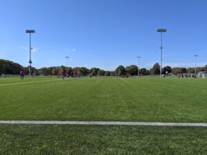 Soccer Field image 1