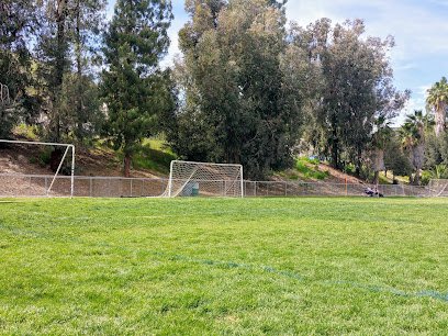 Soccer Field image 1