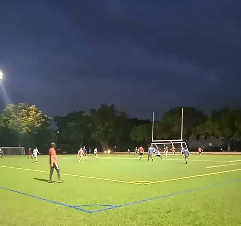 Soccer Field image 2