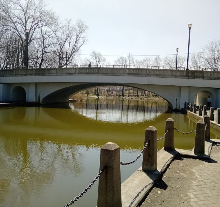 Soccer Field image 2