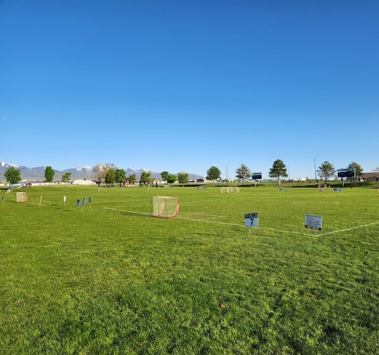 Soccer Field image 2