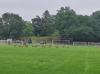 Soccer Field image 1