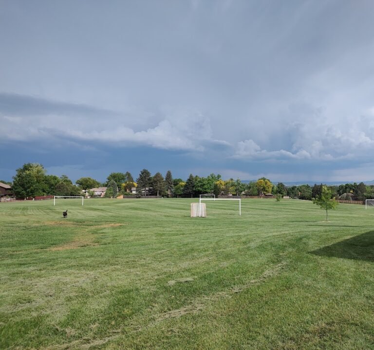 Soccer Field image 2