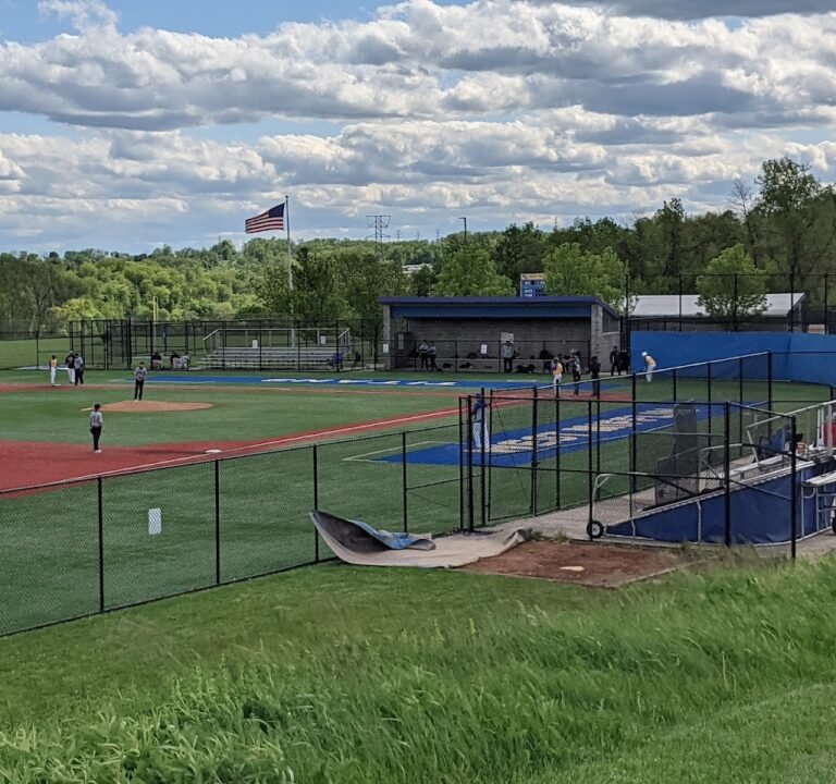 Soccer Field image 2