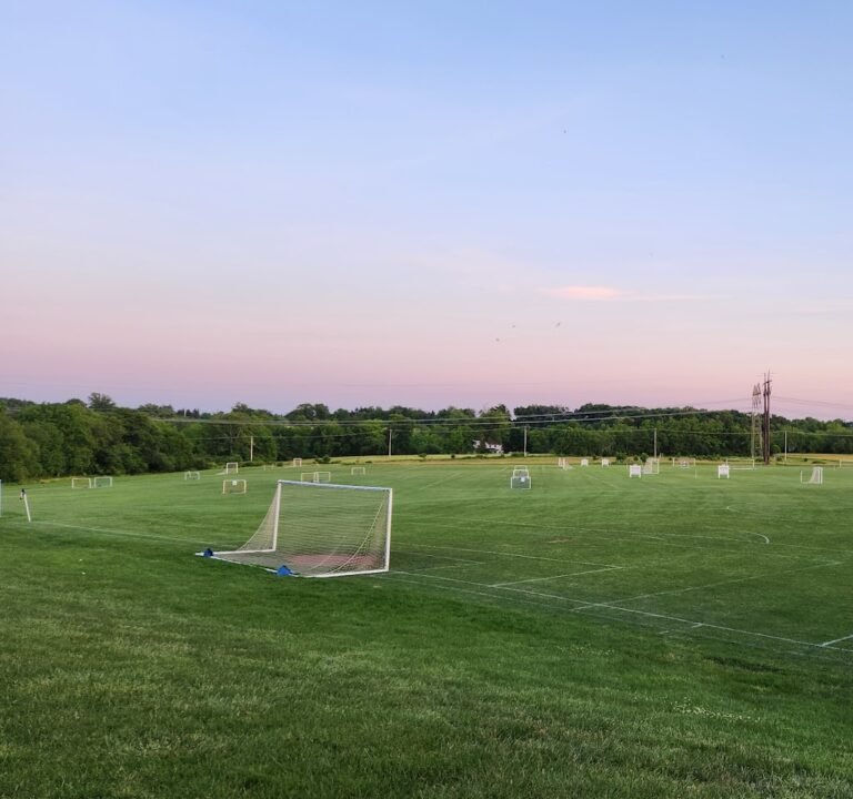 Soccer Field image 2