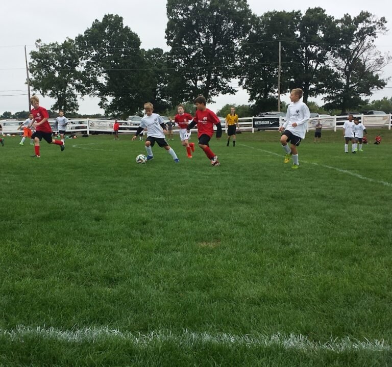 Soccer Field image 3