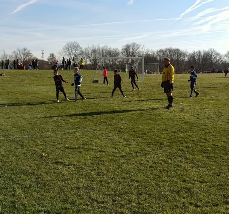 Soccer Field image 4