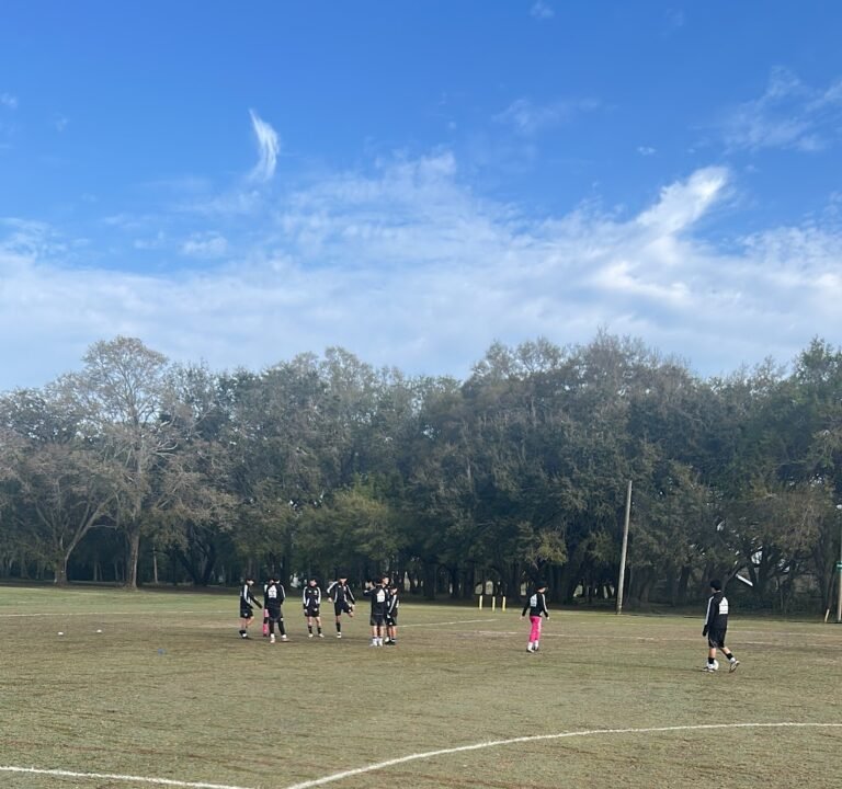 Soccer Field image 3