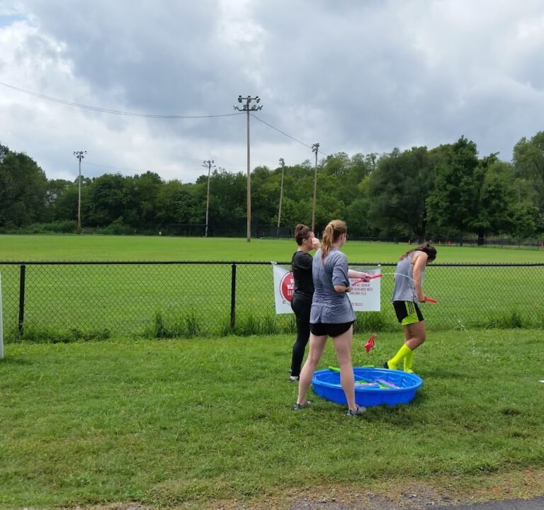 Soccer Field image 2