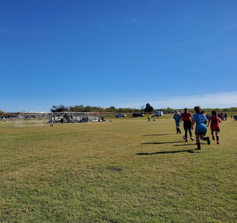 Soccer Field image 2