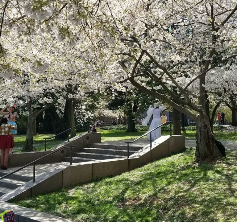 Soccer Field image 4