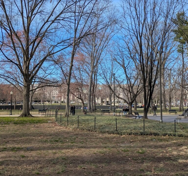 Soccer Field image 3