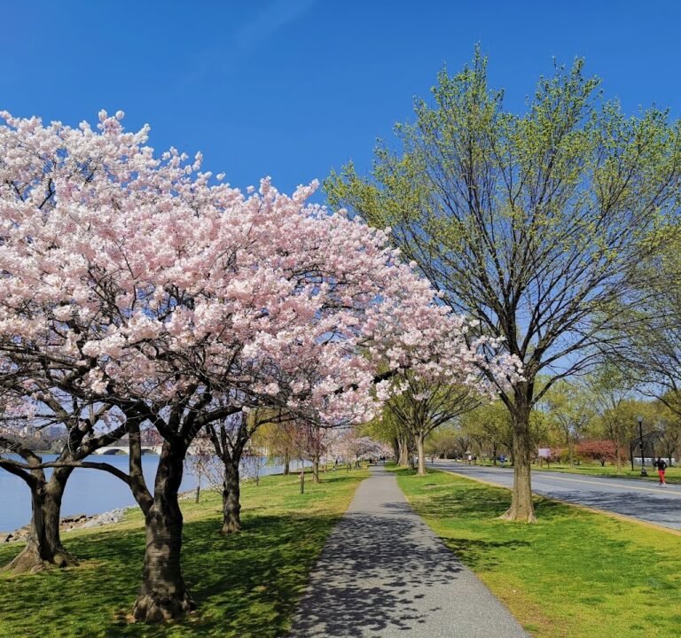 Soccer Field image 2