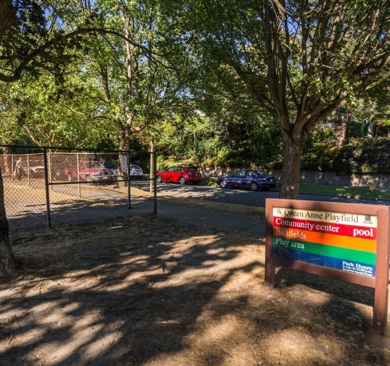 Soccer Field image 2