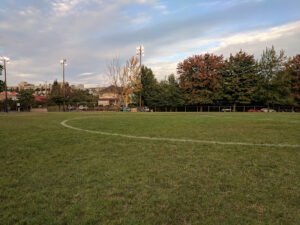 Soccer Field image 1