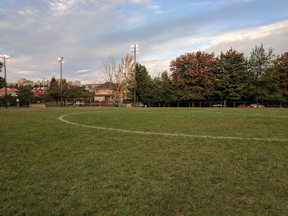 Soccer Field image 1