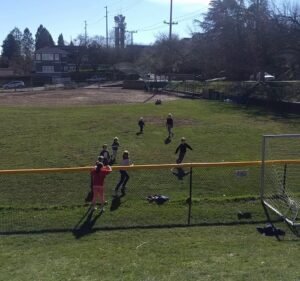 Soccer Field image 4