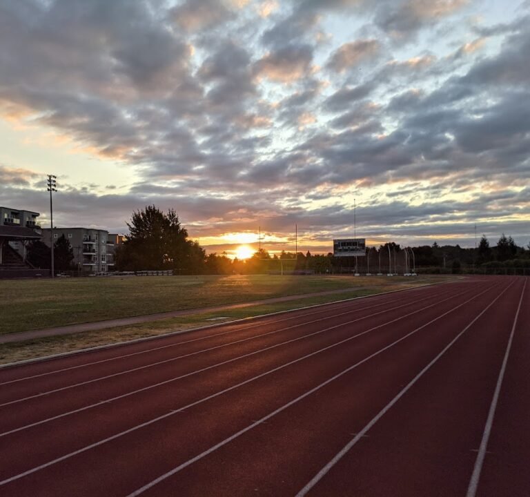 Soccer Field image 2