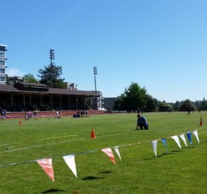 Soccer Field image 3