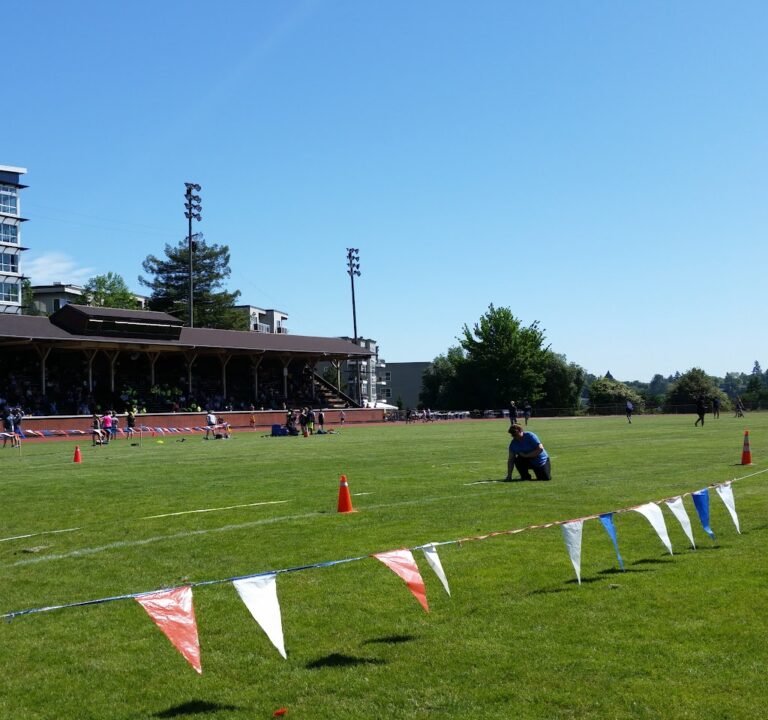 Soccer Field image 3