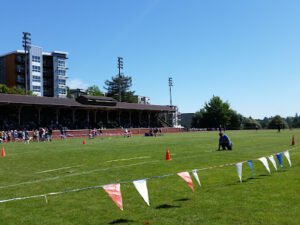 Soccer Field image 1