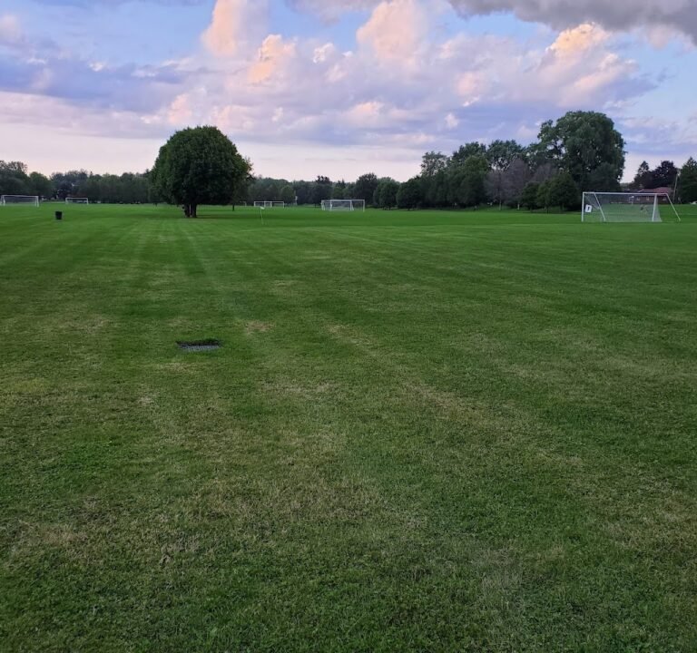 Soccer Field image 2