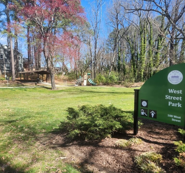 Soccer Field image 3