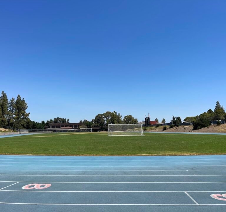 Soccer Field image 2