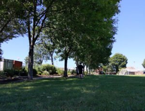 Soccer Field image 1