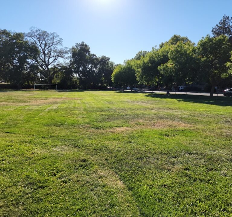 Soccer Field image 2