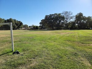 Soccer Field image 1