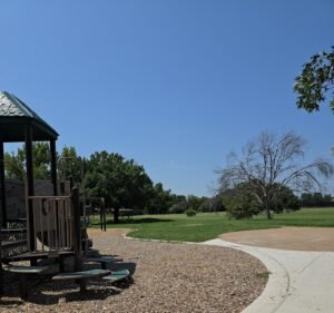 Soccer Field image 2