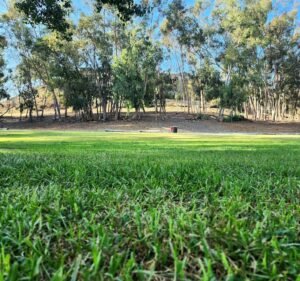 Soccer Field image 2