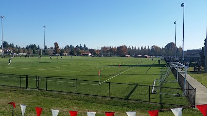 Soccer Field image 1