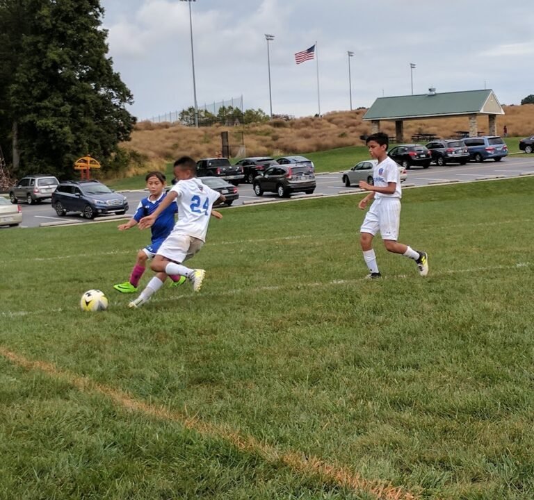 Soccer Field image 2