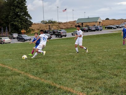 Soccer Field image 1