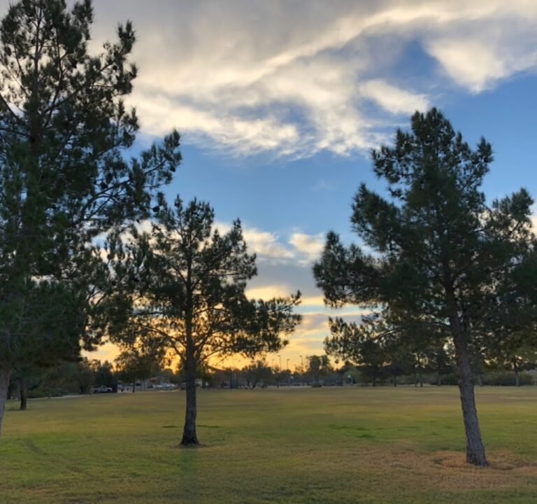 Soccer Field image 3