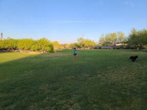 Soccer Field image 1