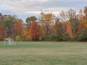 Soccer Field image 1