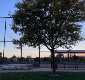 Soccer Field image 3