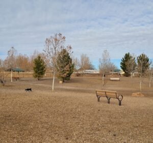 Soccer Field image 2