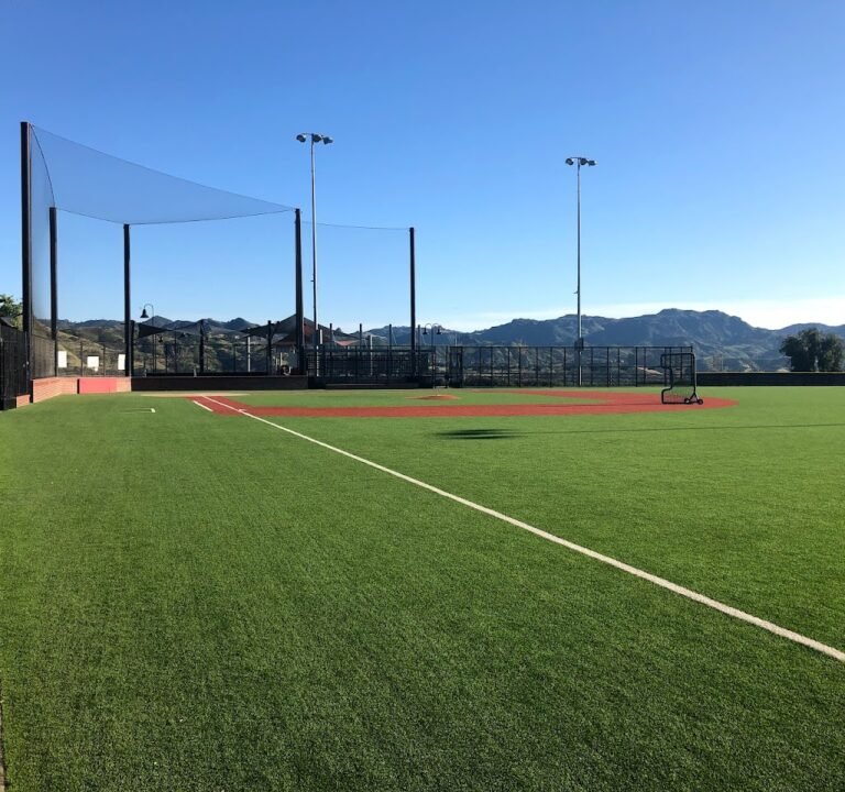 Soccer Field image 2