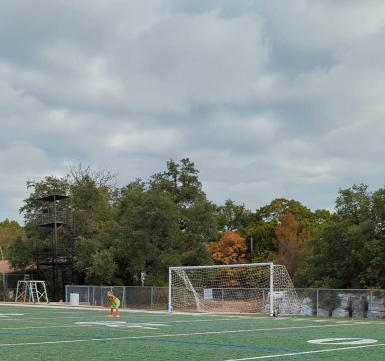 Soccer Field image 3