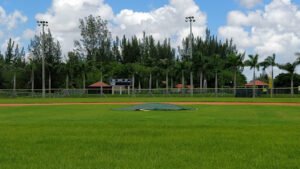 Soccer Field image 1