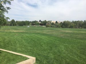 Soccer Field image 1