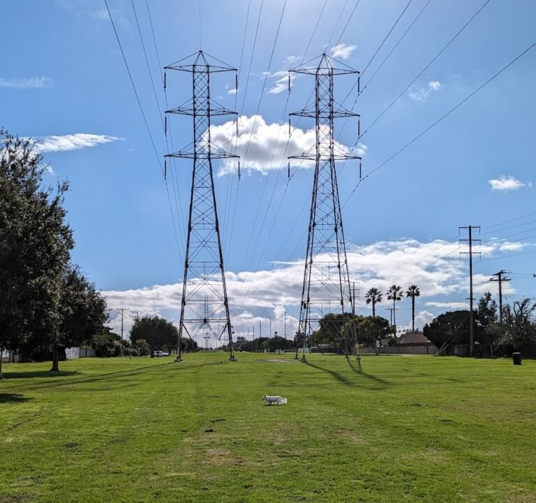 Soccer Field image 2