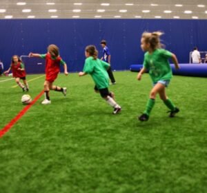 Soccer Field image 2