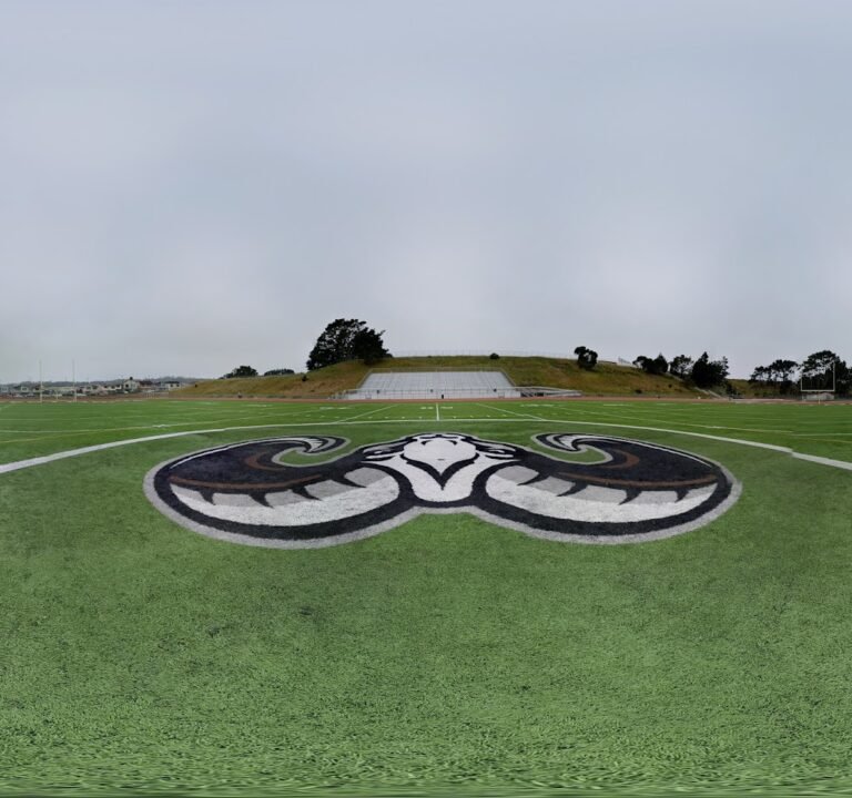 Soccer Field image 3