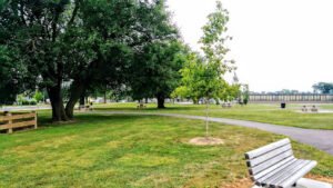Soccer Field image 1