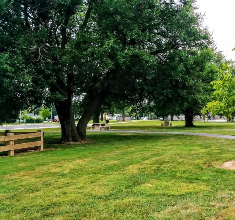 Soccer Field image 2